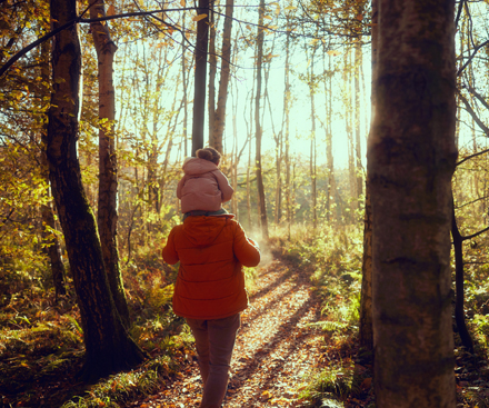 Forest of Legends